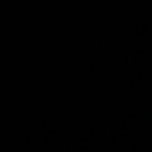 Meet your Posher, Akiyah